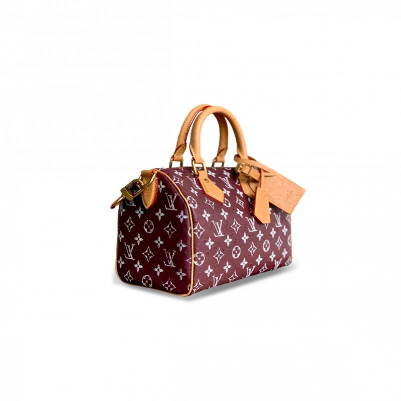 (image for) LOUIS VUITTON MASTER SPEEDY P9 BANDOULIÈRE 25 M24437 (25*15*15cm)