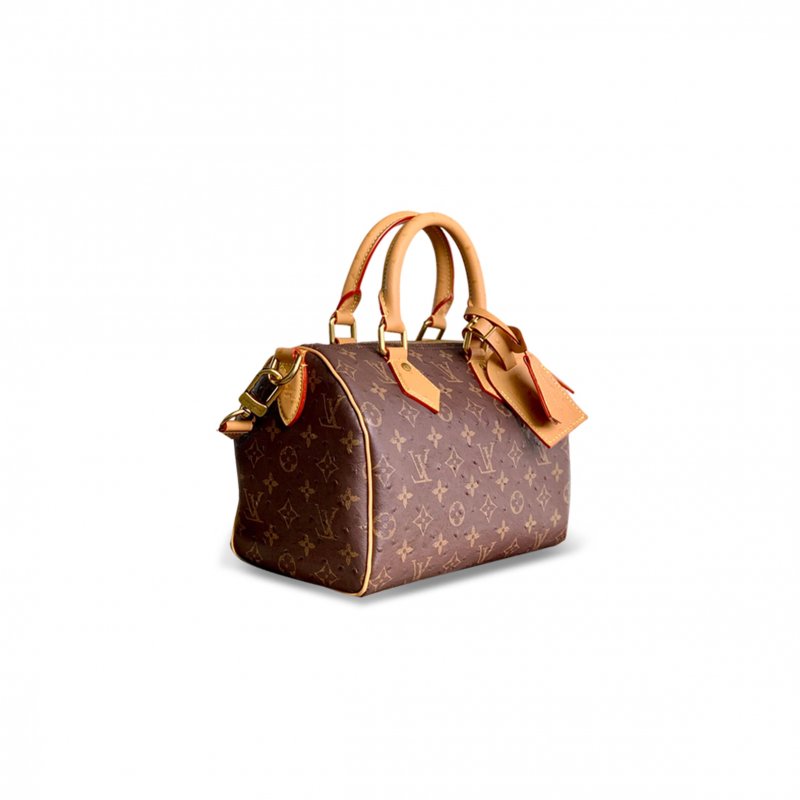 (image for) LOUIS VUITTON MASTER SPEEDY P9 BANDOULIÈRE 25 M24437 (25*15*15cm)