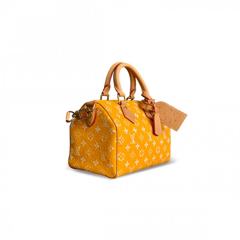 (image for) LOUIS VUITTON MASTER SPEEDY P9 BANDOULIÈRE 25 M24437 (25*15*15cm)