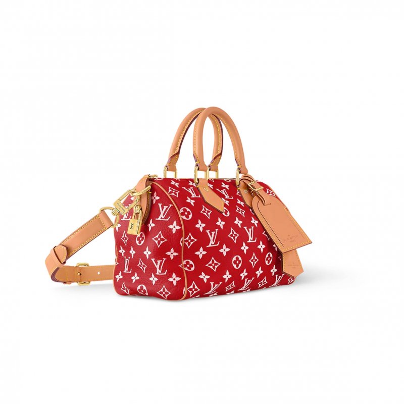(image for) LOUIS VUITTON MASTER SPEEDY P9 BANDOULIÈRE 25 M24425 (25*15*15cm)