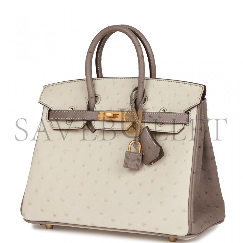 HERMES MASTER BIRKIN 25 OSTRICH BRUSHED GOLD HARDWARE (25*20*13cm) [M43689] Shoes Jewelry Bag Watch Clothing 